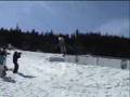 Expert Skier