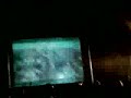 hormonika 10 5 08  in konsolle coccoluto