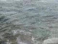 Olas