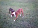 Bocephus "My Old Man" 7-01-2008
