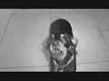 PINSCHER CABAS