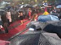 MMVA 2008 Red Carpet gets rained out