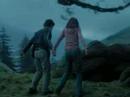 Save you - Harry & Hermione