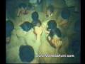 Ravayat-e Fath (Season Five) Ravayat-e Fath (Season Five)
