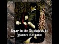 Pray in the Darkness by Yousei Teikoku [????]