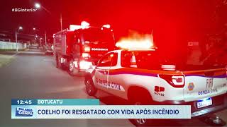 COELHO FOI RESGATADO COM VIDA APÓS INCÊNDIO