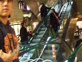 harrods