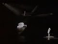 Musical Elisabeth: Der Schleier faellt (1992)
