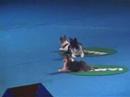 Superdogs 2007 Musical Mats - Vancouver PNE