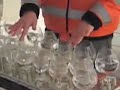 Vienna Austria Street Musician Playing Water Glasses