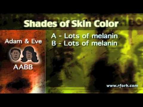 What color were Adam and Eve?