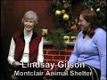 Home For The Holidays, Montclair Animal Shelter