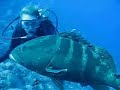 Turks & Caycos