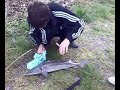 Pesca allo storione Pesca allo storione