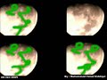 ALLAH - Miracle of Islam Muhammad [SAW] written on the moon
