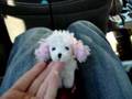 Alexis Olivier\'s Cutie