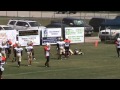 PPO BENGALS #3 2010