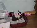 panpan panpan