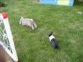 panpan