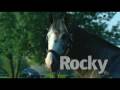 videos de Darley Ad: Rockport Harbor