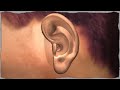 Tour of the Ear brought to you by McDonald Hearing Aid Center.avi