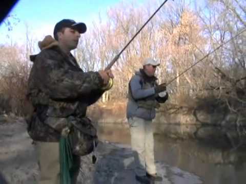 rainbowtrout - Shaun and Dan reveal rarely seen secrets for catching trophy Fall, Winter and Spring Rainbow Trout on creeks and rivers using floats, center pin reels and fl...
