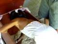 videos de Ayra's Adventures in US 2008