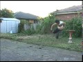 videos de BIRDBATH.mpg