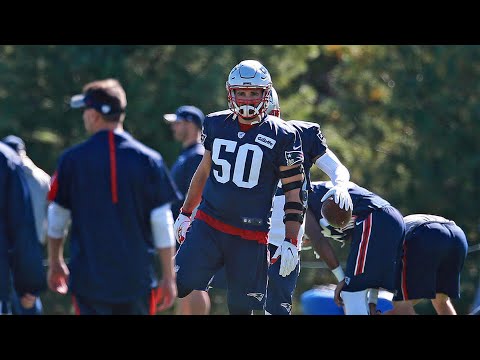 Video: Ninkovich on Patriots being perennial Super Bowl favorites