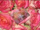 montage photos jipa montage photos jipa