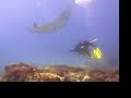 Stradbroke Island Scuba Diving Stradbroke Island Scuba Diving