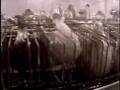 The Foie Gras Assembly Line
