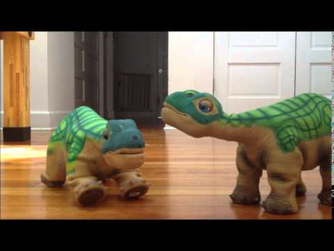 how to train pleo rb