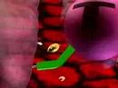 ~The Influenza Virus~