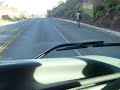 Util animal planet zebra