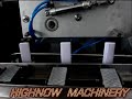DZH-120 cartoning machine for five blisters