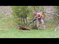 2018 Spring Bear Hunt