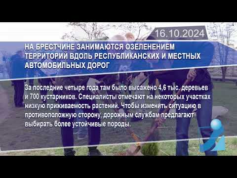 Новостная лента Телеканала Интекс 16.10.24.
