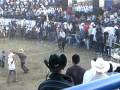 videos de Los Toros