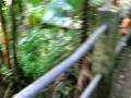 videos de trail to LaMina.MP4