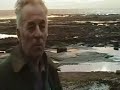 Sea Coal - UK