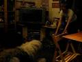 videos de Woody and the blue balloon
