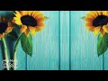 Kiroroオルゴール【睡眠用・リラックス用BGMメドレー】J-POP Music Box Cover