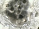 Salt Crystal Formation #3
