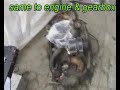 Citroen 2cv Reborn - Restoration