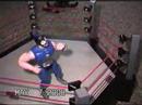 WWF Attitude HEAT! Shark Boy Short Preview