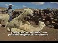 Ocuviri, Turismo y Desarrollo Alpaquero