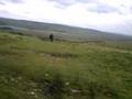 videos de Settle to Skipton Part 1