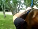 swinging swinging
