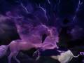 videos de Le Grand Voyage.wmv